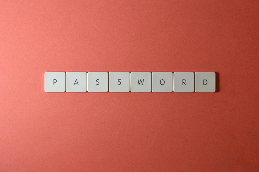 password security-b55526649b8541dba752d346b6342a0d.jpg password security